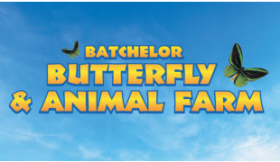 Batchelor Butterfly Farm (NT)