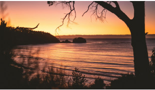Tasmanian Tours (TAS)